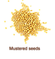 Mustered seeds